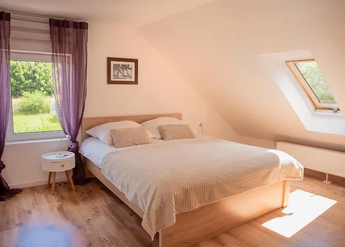Apartament Lipowa